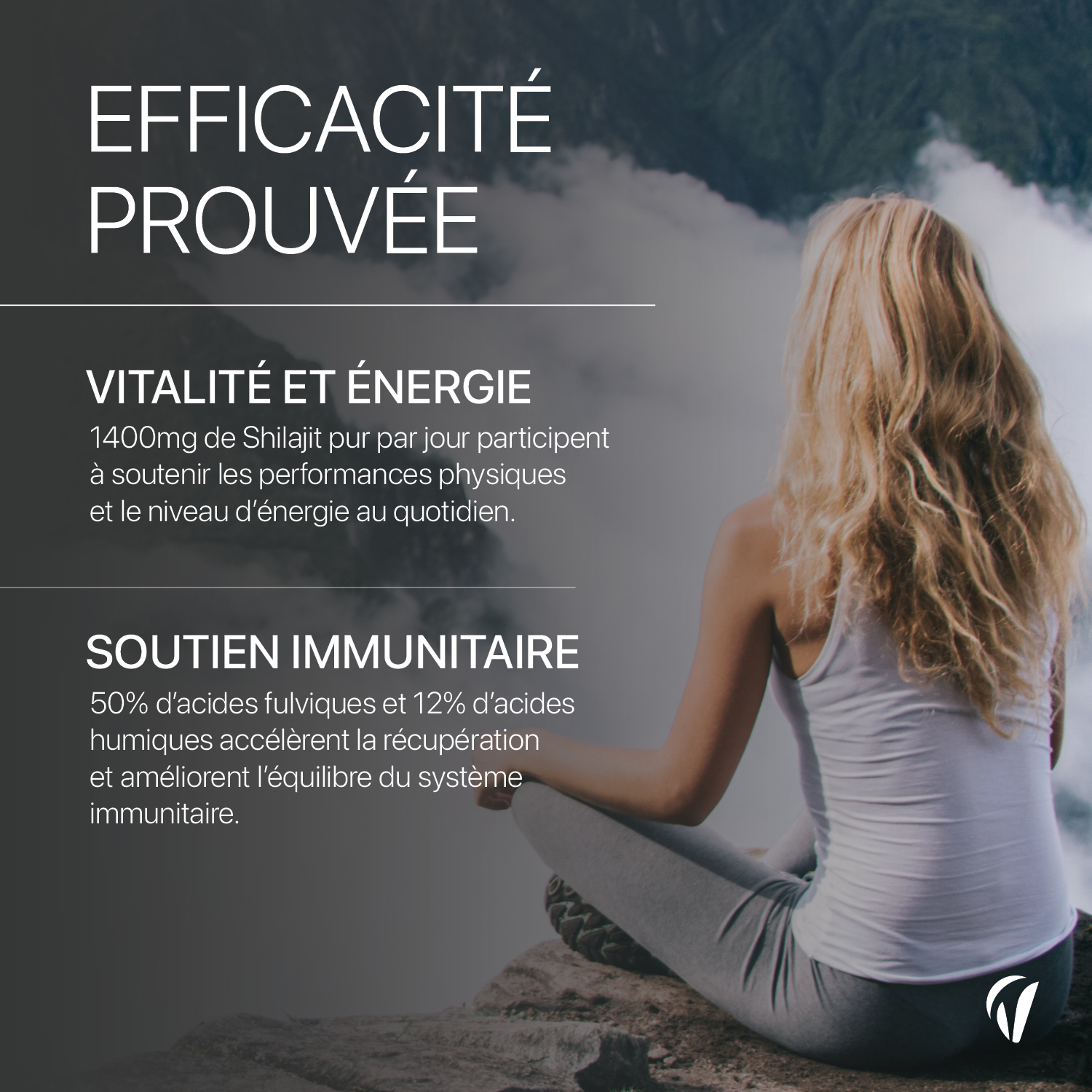 vitavea_amazon_shilajit5