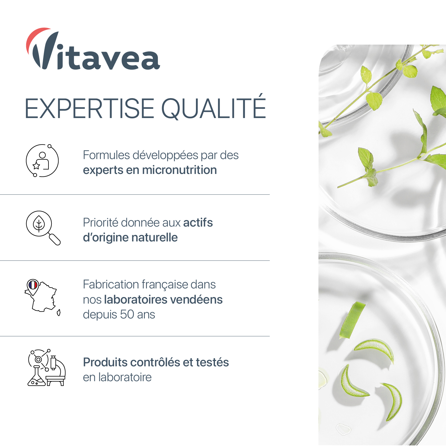 vitavea_amazon_shilajit6