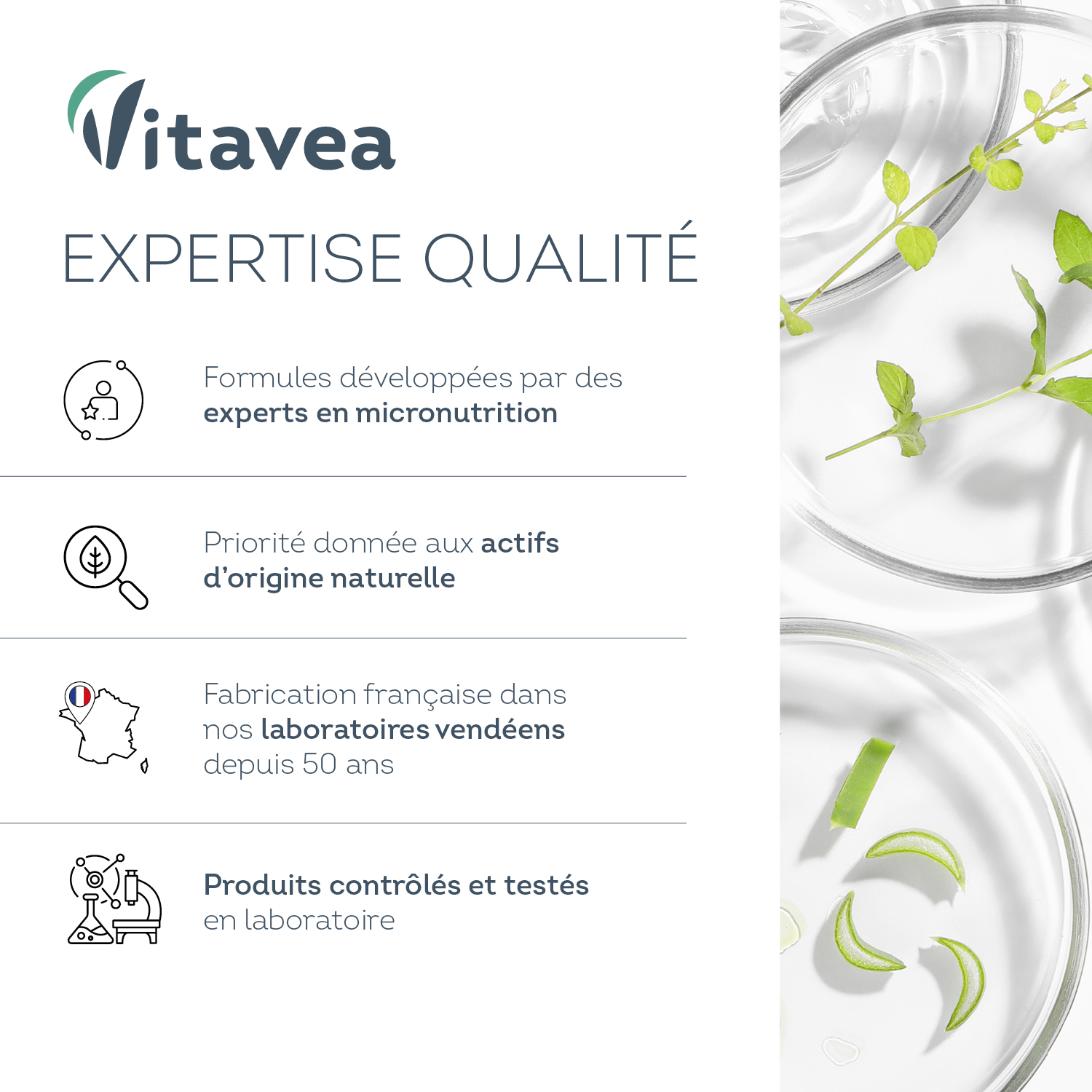 vitaveabienetre_amazon_vision4