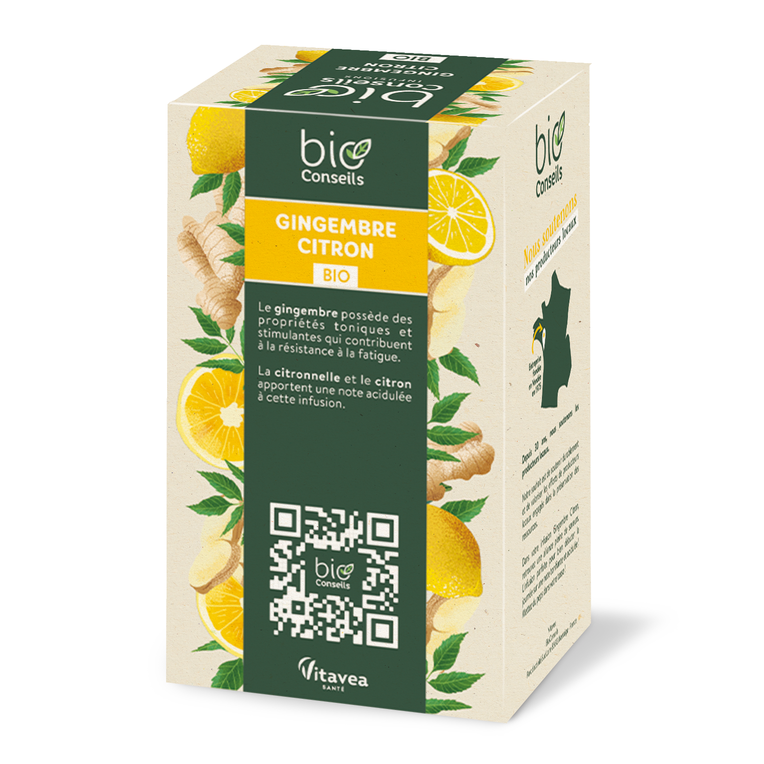 BioConseils infusion gingembre citron dos